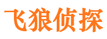 阆中市调查公司